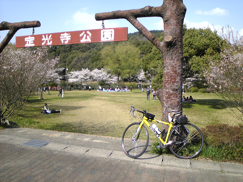 定光寺公園の桜もところにより満開