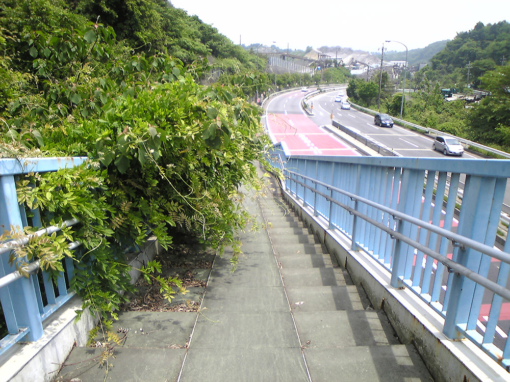 歩道橋の階段
